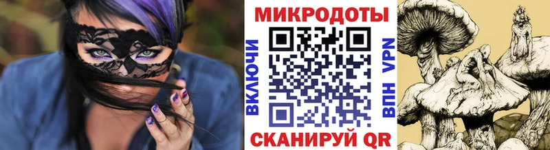 Псилоцибиновые грибы Psilocybe  Отрадное 