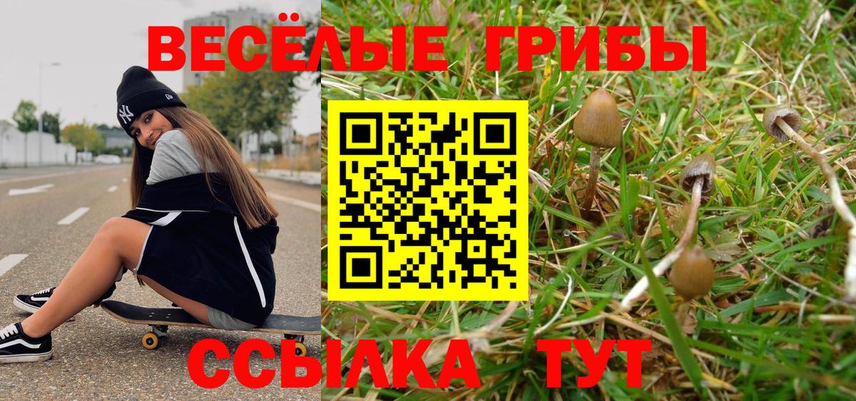 Галлюциногенные грибы Psilocybine cubensis Отрадное