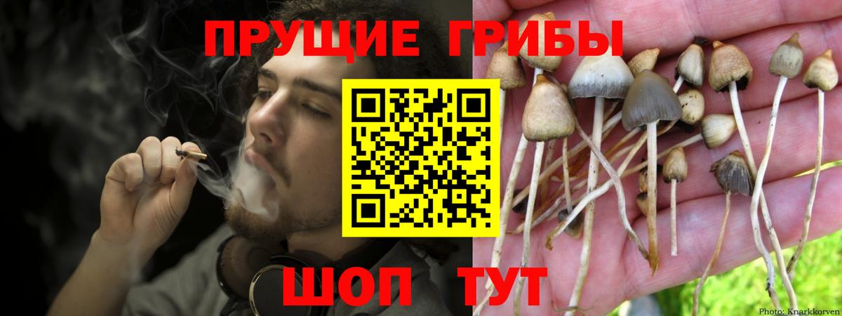 Отрадное  Галлюциногенные грибы прущие грибы  сколько стоит  Галлюциногенные грибы Cubensis  Вход с VPN 